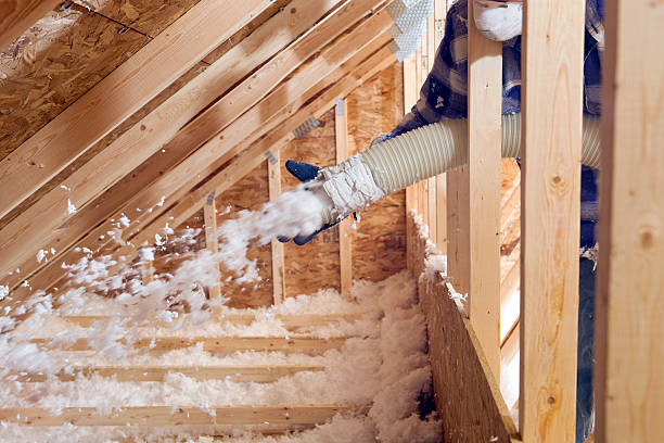 Best Wall Insulation Installation  in Pine Bush, NY